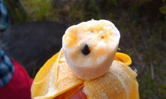 Для настоящих любителей извращений есть бананы с косточками.