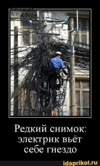 Не удивляйтесь, если после очередной чашечки утреннего или вечернего кофе к вам в голову придёт гениальная мысль.