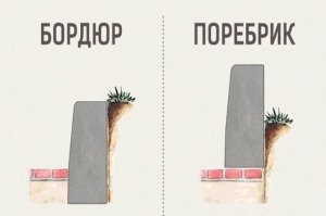 "бордюр или поребрик"
=================
Почему-то интеллигентные петербуржцы не знают, что бордюр и поребрик - это разные вещи, а не местные названия одного и того же.