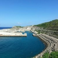 Судно стоит прямо у набережной. Хотите сказать,  трапик перекинуть невозможно?
... 
гораздо дешевле и проще, чем строительство и оборудование гавани.

А это что?