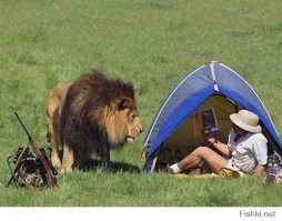 Пришёл в справочную...