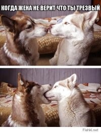 С добрым утром!