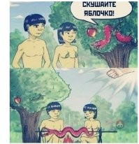 Юмор на конец рабочей недели