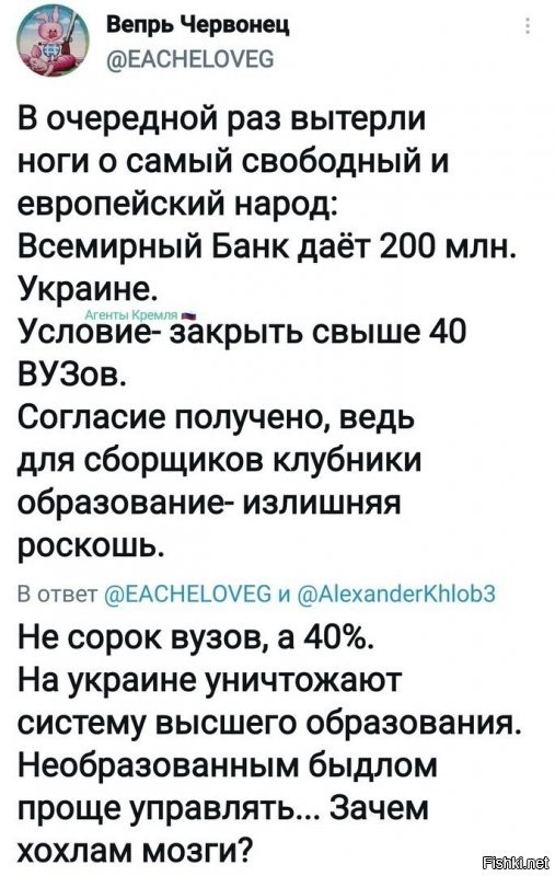 Да там 99% надо закрывать, ибо дипломы в основном покупаются, качество образования низкое или вообще под плинтусом.  И не надо об "управелинии дураками"  - дурак с дипломом без разницы.