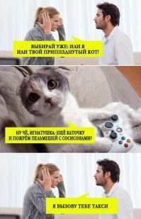 Еще чего - такси. Подсрачник ей, да посильней.

Котик ей не нравится, козе такой.