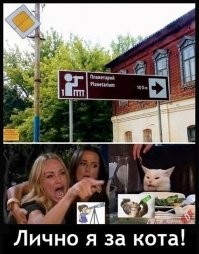 Есть мнение