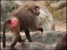 Смешные комментарии из соц.сетей