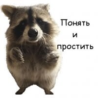 30 коротких историй, от которых ваше сердце растает, как мороженое в жаркий день