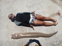 Самки мурен обычно крупнее самцов.