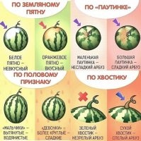 Смешные комментарии из соц.сетей