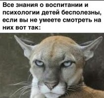 Смешные комментарии из соц.сетей