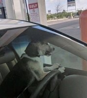 Был у меня такой же случай. Нужно было быстренько смотаться по работе в одно место, а казенная машина оказалась занятой. Подъехал на своей, ключи из замка не вытаскивал (я же на минуточку!), а закрыл машину брелоком. Закрыть-то закрыл, а вот открыть не смог. Запасной ключ и брелок дома. Пришлось через весь город прокатиться на такси туда и обратно.