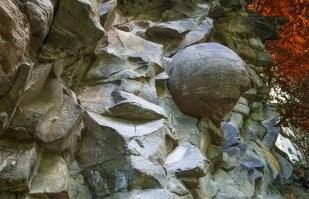 У нас такие яйца "растут" в Архызе на территории исторического заповедника. За храмом сразу в лес по тропе метров 200.