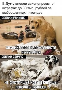 Как говорит мой коллега, патрон стоит всего 25 рублей.