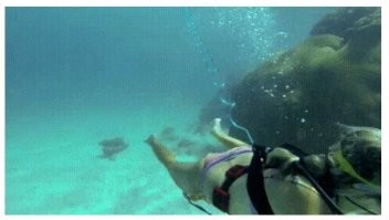 Да да. Мы все помним чем это закончилось...