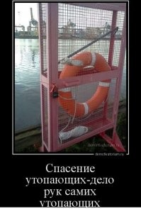 Смешные картинки из соц сетей