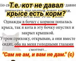 Калейдоскоп воскресного позитива