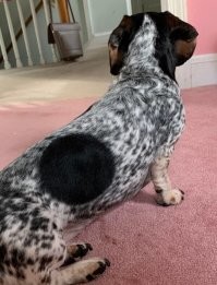 блэксан ит!