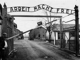 Вот что творится.