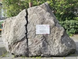 А ещё они технично послали на куй проворовавшееся правительство. И камушек на память поставили.