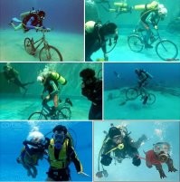 Собаки, они такие, они за хозяином, и в огонь и в воду!