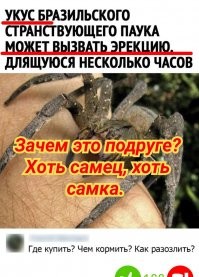 Смешные картинки из соц сетей