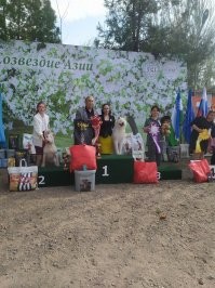 История породы