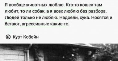 Скрины из соцсетей