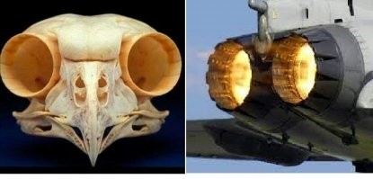 17 фотографий, про которые можно сказать: "Я не поверю, пока не увижу"