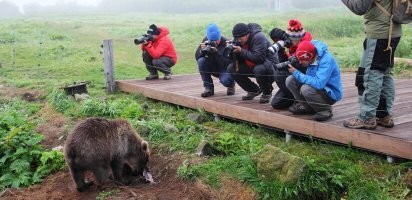 Интересно, что на Аляске медведей снимает камера слежения, а на Камчатке можно всё это наблюдать вживую. Есть такое Курильское озеро, где нерестится лосось. В это время на озере собираются десятки медведей на рыбалку.