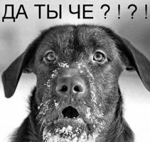 Из-за зеленки?