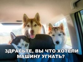 секретка слева под торпедой, бак полный, спутника нет, поехали уже!