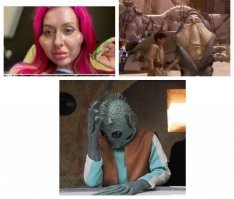 Свежие кубики