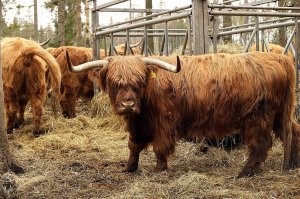 Девушек не поделили: мальчишник в Самаре на пляже закончился массовым побоищем
