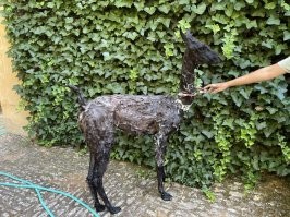 Видел как её мыли. Оказалось, что шерсти много, а ламы мало)