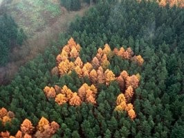 Идея не новая.
Вот оригинал.