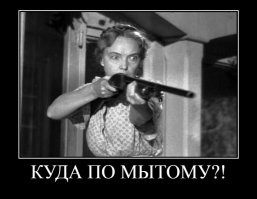 У этих собак хозяйки уборщицами работают.