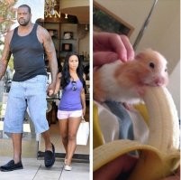 Баян конечно, но кто то же должен это запостить...