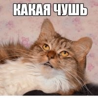 Юмор в отношениях — это здорово!