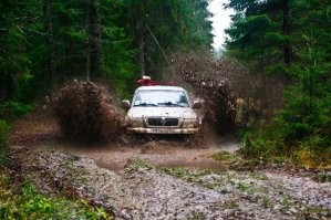 Намешалось