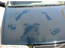 Намешалось