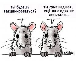 Медсестра была избита за отказ делать тест на коронавирус