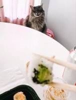 Здесь на роллах кучка другого цвета должна быть, судя по улыбке кота))))