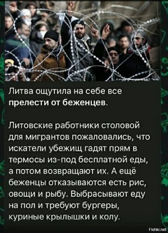 "Гадят в термосы". Так в чём проблемма? Продолжайте накладывать им еду в эти же термосы.