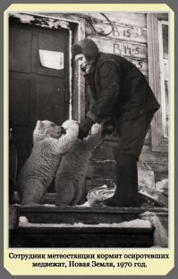 Сотрудник похож на Александра Михайлова  "Любовь и Голуби"