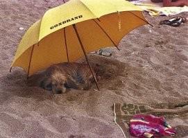 Лето, солнце, море, пляж и просто хорошее настроение в пятницу