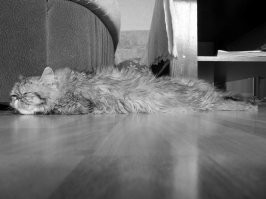 Лето, солнце, море, пляж и просто хорошее настроение в пятницу