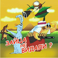 Женщина два часа наблюдала за водолазами, которые искали её в реке