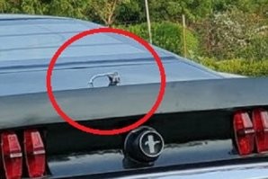 Умельцы из Индии превратили Hyundai Accent в подобие Ford Mustang 1969 года выпуска