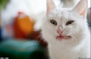 Последняя прям до слез.